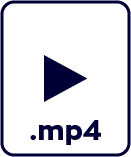 File icon